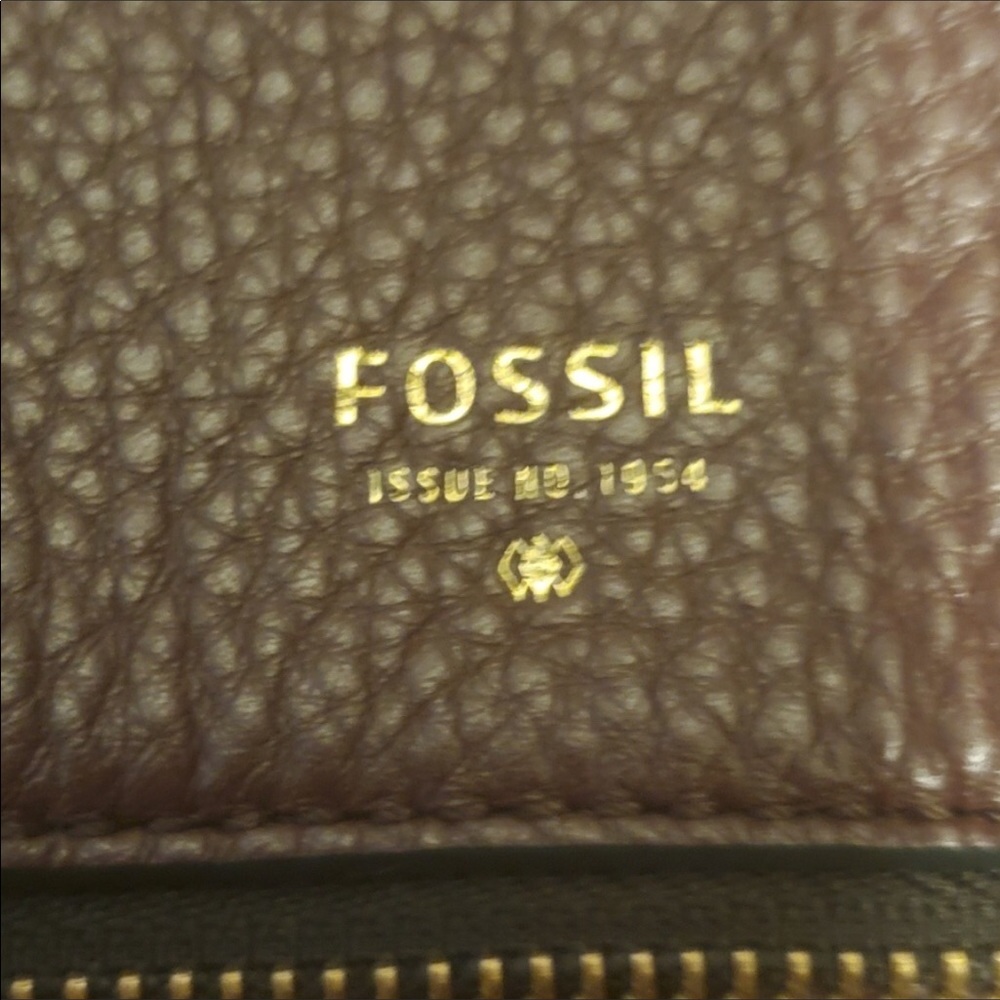Fossil Crossbody Bag - image 3